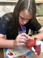 JessAndDaddy_DragonsAndGoblins_10-2020 (14)